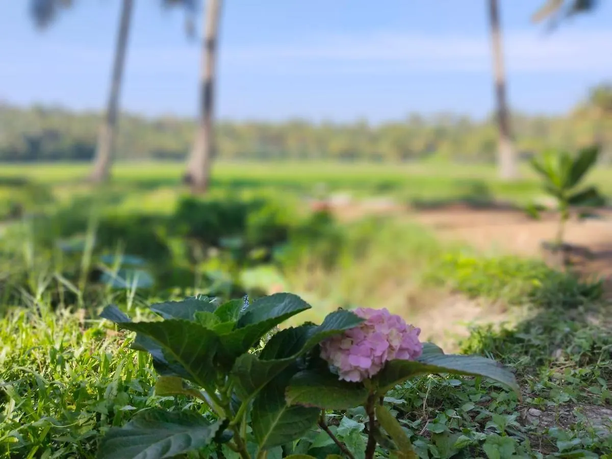 度假村 瓦尔卡拉 Paddy Farm Heritage酒店